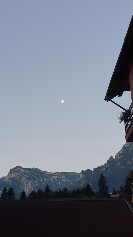 Pensiunea Luna * Buşteni
